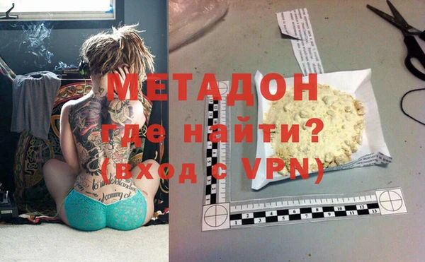 прущие грибы Нея