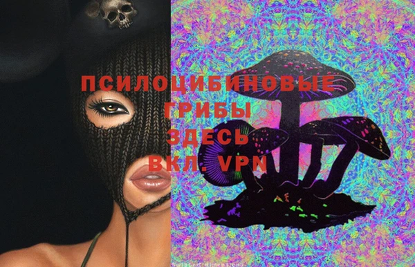 крисы Нефтегорск