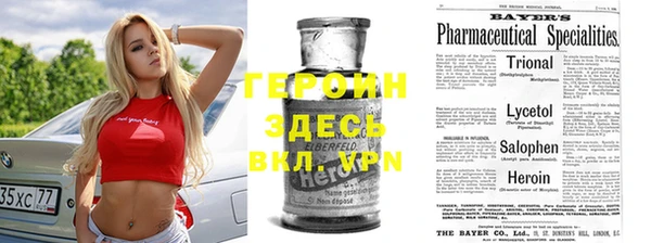прущие грибы Нея