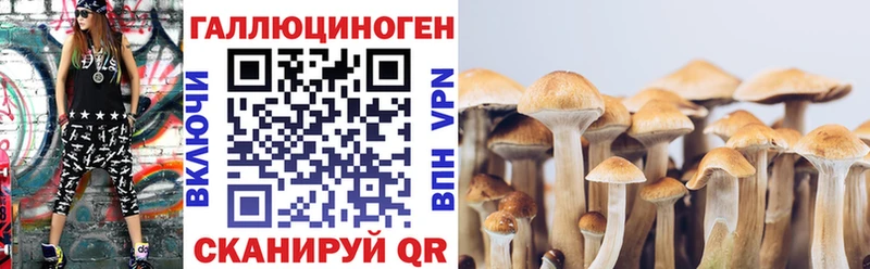 KRAKEN зеркало  Таштагол  площадка какой сайт  Галлюциногенные грибы MAGIC MUSHROOMS 